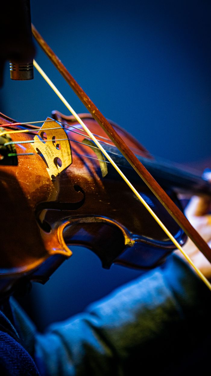 Detailed view of a violin being played, showcasing the strings and craftsmanship.